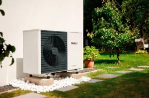 Vaillant Michorius